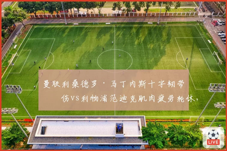 曼联利桑德罗·马丁内斯十字韧带再伤vs利物浦范迪克肌肉疲劳轮休,中卫伤病管理差异折射文化不同