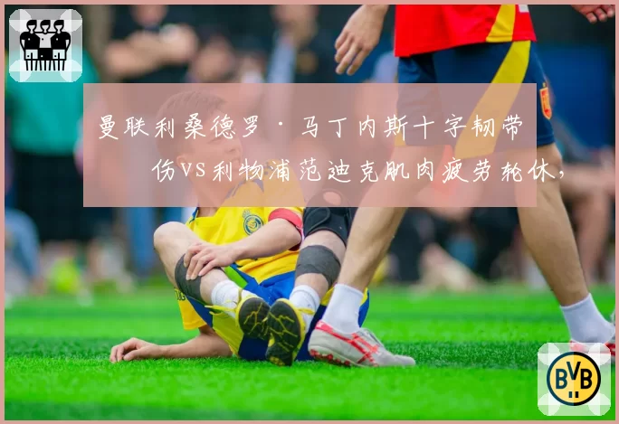 曼联利桑德罗·马丁内斯十字韧带再伤vs利物浦范迪克肌肉疲劳轮休，中卫伤病管理差异折射文化不同
